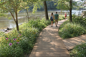 Shoreline Boardwalk
