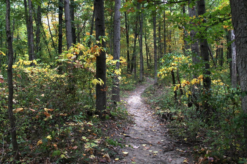 Cascade Peace Park